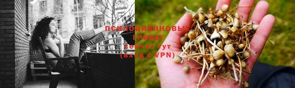 шишки Баксан