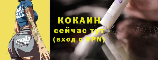 шишки Баксан