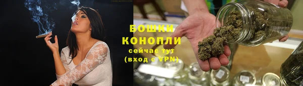 шишки Баксан