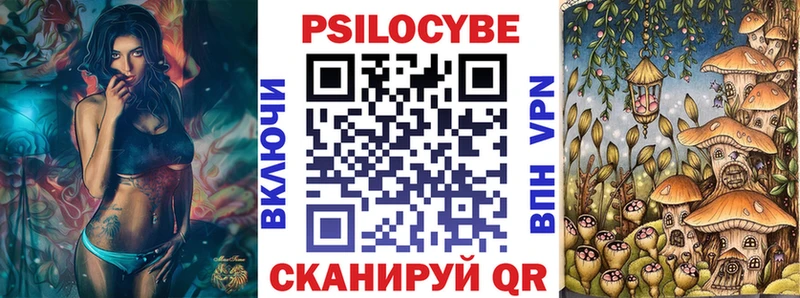 Галлюциногенные грибы Cubensis  цены   Сланцы 